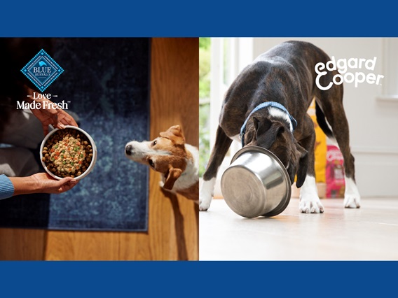 Blue Buffalo and Edgard Cooper image