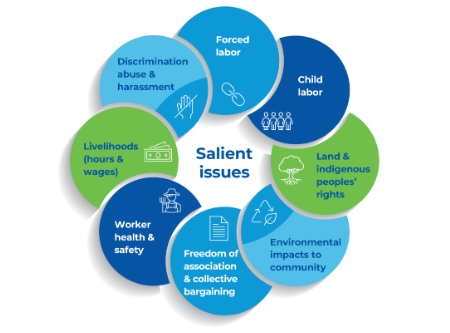 salient human rights issues, which include: forced labor, child labor, land and indigenous peoples’ rights, environmental impacts to community, freedom of association and collective bargaining, worker health and safety, livelihoods, and discrimination, abuse and harassment. 